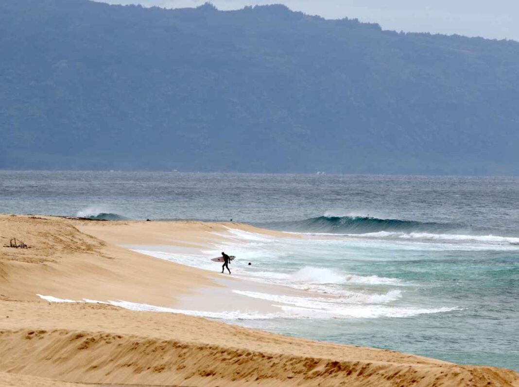 un-socorrista-de-hawai-muere-en-un-ataque-de-tiburon-cuando-hacia-surf-en-oahu