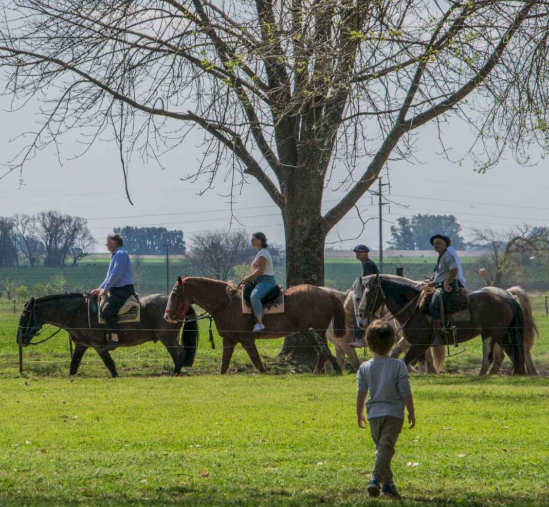 feriados-de-junio-2024:-cuales-son-los-dias-laborables-de-la-proxima-semana