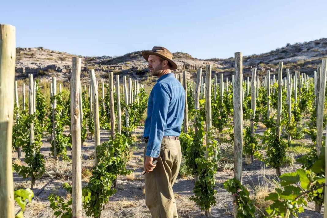 es-argentino,-encontro-agua-en-el-desierto-de-la-patagonia-y-hoy-vende-vinos-desde-us$100