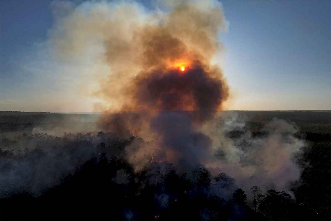 advierten-que-una-cortina-de-humo-avanza-sobre-argentina-por-los-incendios-en-bolivia:-a-que-provincias-afecta